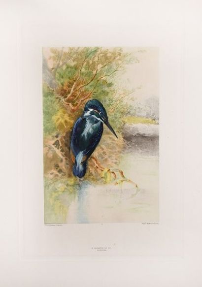 THEURIET (A.) Nos oiseaux.
Paris, Launette, 1886.
In-4°, demi-maroquin bleu pétrole...
