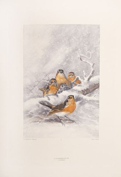 THEURIET (A.) Nos oiseaux.
Paris, Launette, 1886.
In-4°, demi-maroquin bleu pétrole...