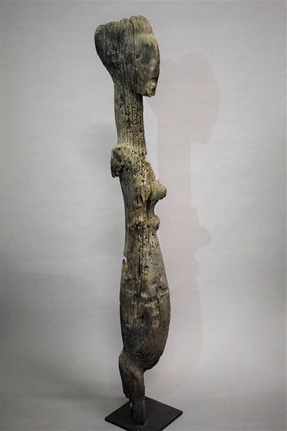 null Fragment d'une statue Ishan Nigeria Bois H. 131,5 cm Provenance : Collection...