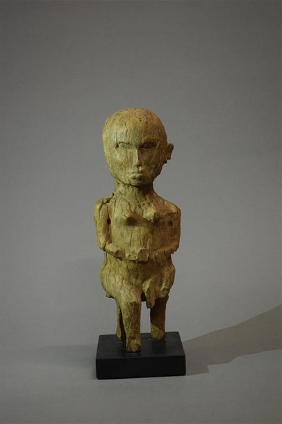 null Statue Luguru Tanzanie Bois H. 31 cm Provenance : Galerie 62, Paris Collection...
