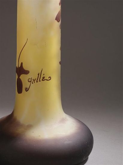 null Établissements GALLÉ (1904-1936) Glycine Spectaculaire vase oignon à long col...