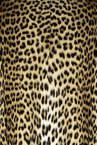 null FOUGEROUSE Manteau 7/8 en panthère de Somalie (Panthera Pardus Orientalis) petit...