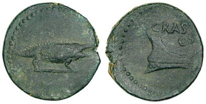 CANIDIA. Famille de Crassus. Moyen-Bronze,...