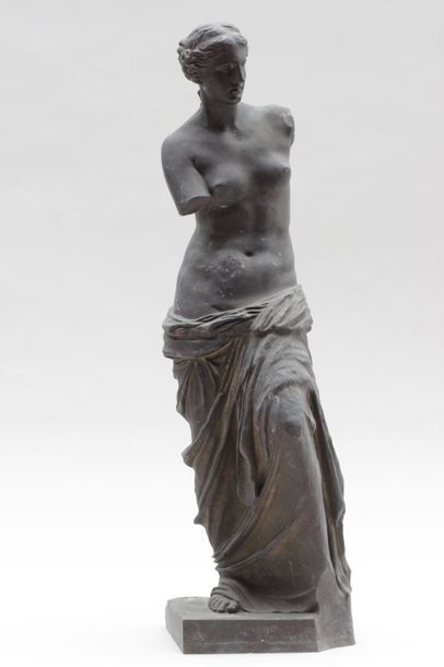 null D'après l'Antique

Venus 

Epreuve en bronze, fonte d"édition patinée , pas...