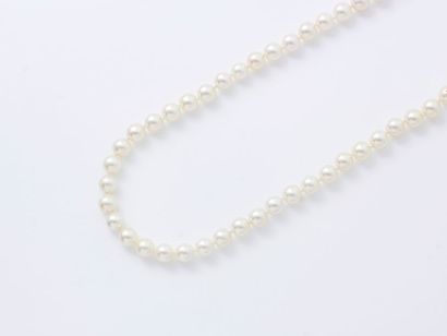 null Collier composé d'un rang de perles de culture d'environ 6.8 mm, agrémenté d'un...