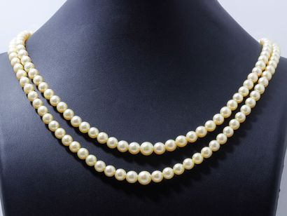 null Collier composé de 2 rangs de perles de culture en légère chute d'environ 5.4...