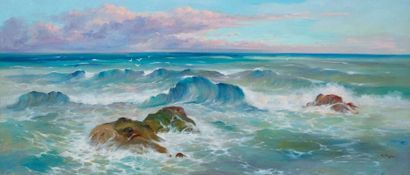 null Paul FÉNASSE (1899-1976)

Mer, vagues, rochers

Huile sur toile signée en bas...