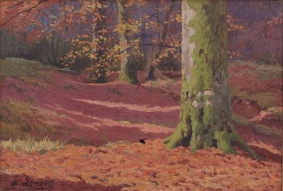null Louis LONCIN (1875-1946)

Paysage d'automne

Huile sur toile signée en bas à...
