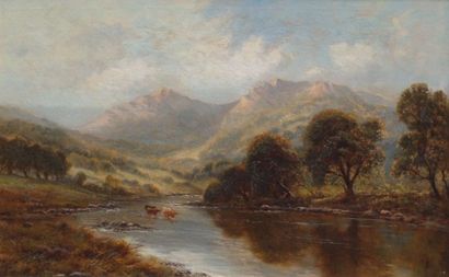 null JOHNSON (XIXe siècle)

Paysage montagneux avec troupeau 

Huile sur toile signée...