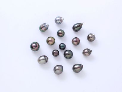 null Lot composé de 15 perles de culture grise de Tahiti rondes et baroquées non...