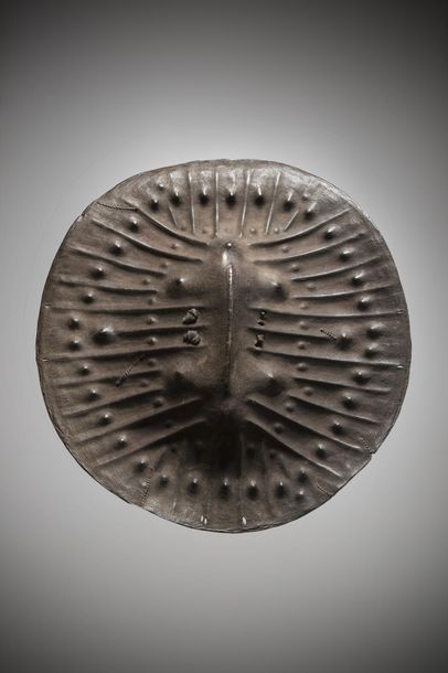 null OROMO, Ethiopia. Very nice example of a "chawa" shield made of buffalo leather...