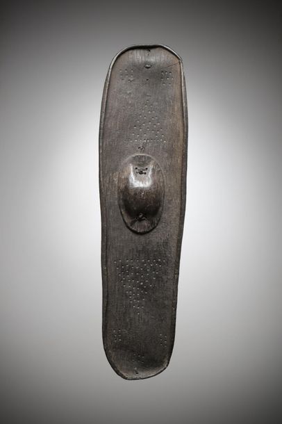 null DINKA, Sudan. Rare oval shield made of buffalo leather with a patina of use,...