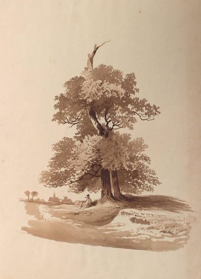 Rosine MICHEL (XIXe siècle) attribué à Rosine MICHEL (19th century) attributed to
Landscapes
Set...