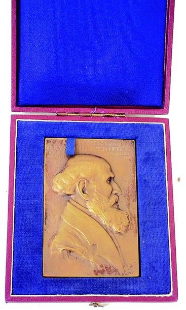 null -Rare et belle médaille en bronze signée Albert MARQUE. Médaille souvenir du...