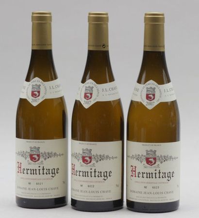null 3 bout HERMITAGE BLANC JL CHAVE 2007