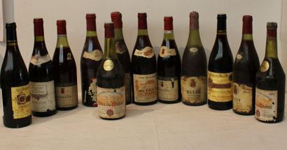 null 12 bout VINS DIVERS : RULLY, COTE DU RHÔNE, BROUILLY, MORGON, MOULIN A VENT