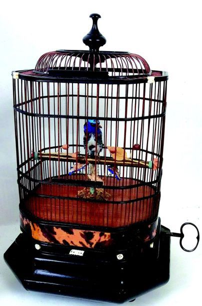 null -

«Cage à «oiseaux» Cage chinoise en bois et écaille de tortue avec un oiseau...