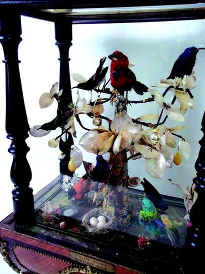 null 

"La Volière à oiseaux" Songbird automaton from Blaise BONTEMS. In precious...
