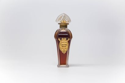 null Dubarry - "Entre Nous" - (1920s)

Rare amphora bottle made of colourless pressed...