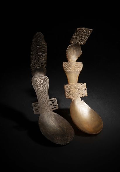 TIMOR (Indonesia)

Two curved SPOONS in buffalo...