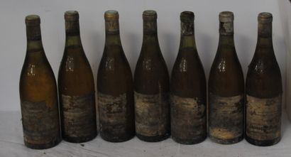  7 bout CHASSAGNE MONTRACHET ALEXIS LICHINE 1976 (tb, very dirty labels)