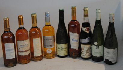 null 9 bout BLANCS : QUART DE CHAUME, BONNEZEAUX, SAUTERNES, DIVERS