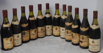 null 12 bout BOURGOGNES DIVERS : NSG RION 1975, CLOS VOUGEOT RION 1975, BOURGOGNE...