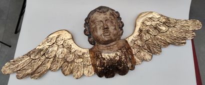 null 
Important Winged Angel's HEAD, Sculpture in patinated and gilded wood, 19th...
