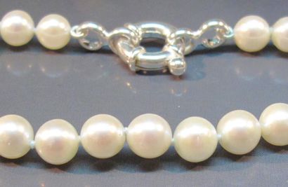 null Bracelet formé de perles de culture (Japon), diamètre 6/6.5 mm, fermoir en argent....