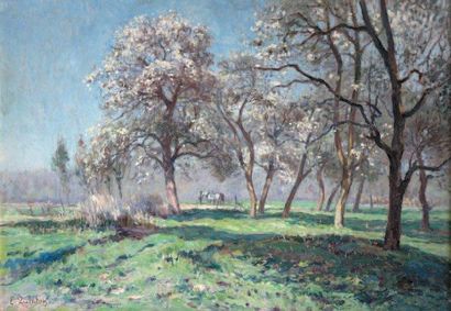 Edmond QUINTON (1892-1969) Arbres en fleurs à la Queue-en-Brie Huile sur panneau...