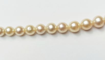  Pearl necklace with clasp in yellow gold 750°/00 Gross weight : 19.51 g (pearls...