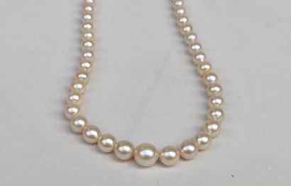 null 
Pearl necklace with clasp in yellow gold 750°/00

Gross weight : 19.51 g (pearls...