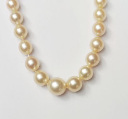 null 
Pearl necklace with clasp in yellow gold 750°/00

Gross weight : 19.51 g (pearls...