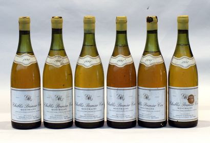 null 6 bout CHABLIS MONTMAINS 1991 (1 à 4 et 1 à 5cm)