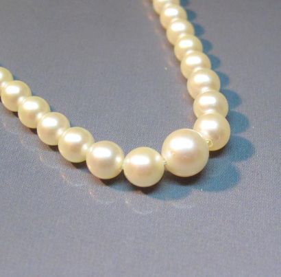null Collier de perles de culture (Japon) en chute diamètre 2.5 à 5.7, fermoir en...