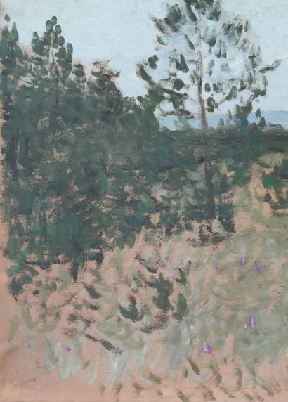  Pierre Eugène MONTEZIN (1874-1946) 
"Study of pine trees by the sea 
Oil on thick...