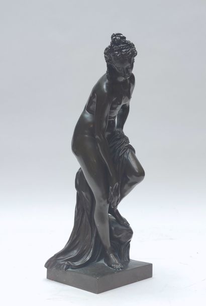 null Christiphe Gabriel C ALLEGRAIN (after)

Venus in the Bath

Proof in bronze cast...