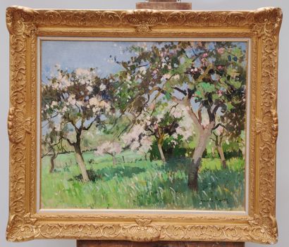 null MAURICE-MARTIN (1894-1978) 

Orchard in bloom 

Oil on canvas signed lower right

60...