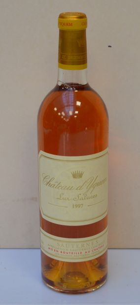 1 bout CHT D'YQUEM 1997