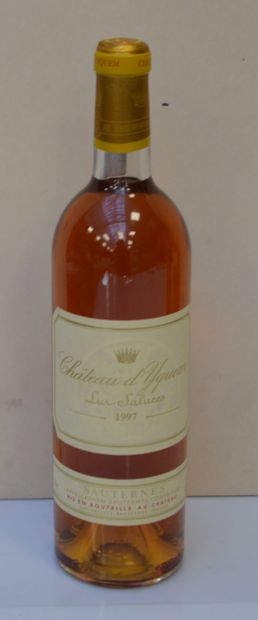 1 bout CHT D'YQUEM 1997