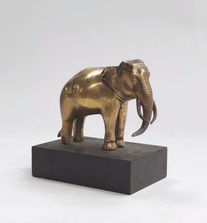 null ELEPHANT en bronze, couleur naturelle du bronze, fonte anonymesans mention de...