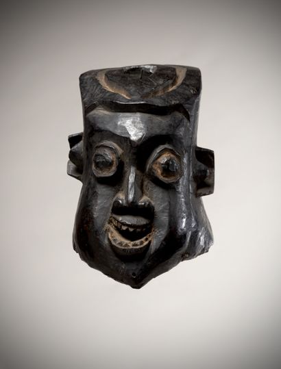 null BAMILEKE (Cameroon)

Pair of helmet masks in heavy wood with dark patina

(Indigenous...