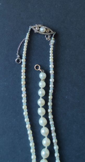 null Regroup lots , 29, 30

 Designation Lot 29 Ord.56 : 

Small cultured pearl NECKLACE...