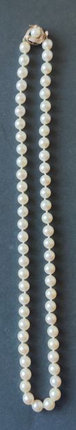 null NECKLACE of cultured pearls, clasp in yellow gold 585°/00

Gross weight: 34.4...