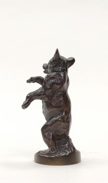 null Louis-Albert CARVIN (1875-1951)

Muzzled bear 

Proof in bronze with brown patina,...