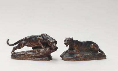 null Charles MASSON (1822-1894)

Lioness on the prowl and reclining tiger 

Two bronze...