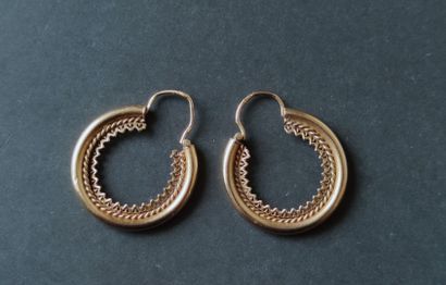 Pair of earrings 