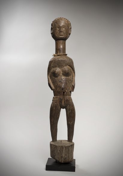 null Tiv (Nigéria) Statue féminine "inhambé" en lourd bois d'acacia patiné. La coiffure...