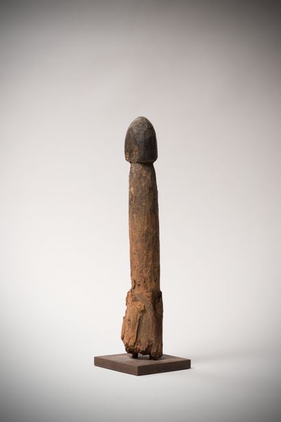 null 
Fon (Benin) Phallic representation in heavy wood which, planted in the adobe...