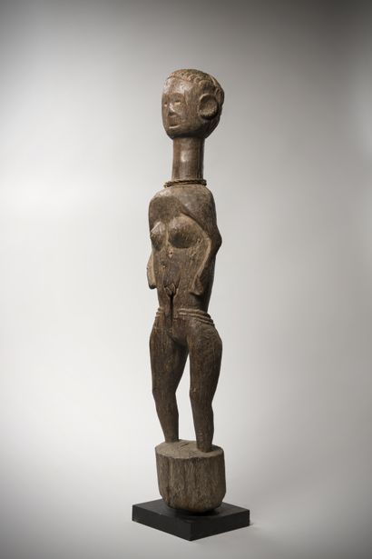 null Tiv (Nigéria) Statue féminine "inhambé" en lourd bois d'acacia patiné. La coiffure...